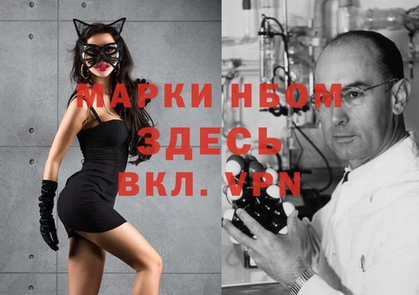 стаф Беломорск