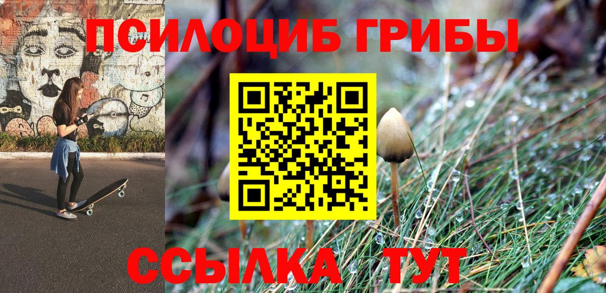 Псилоцибиновые грибы Psilocybe Реутов