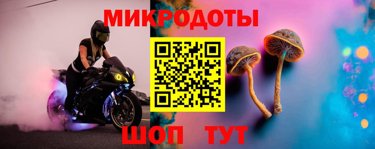 Галлюциногенные грибы Psilocybine cubensis  Псилоцибиновые грибы Cubensis  Вход с VPN  Реутов 
